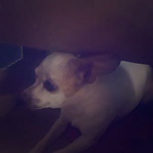 Please feel free to bundle or make offers.